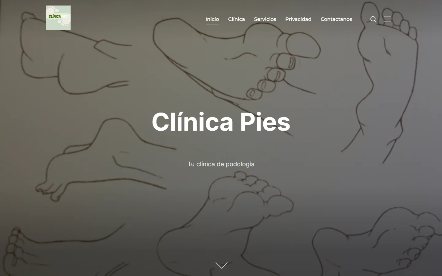 Clinica Pies